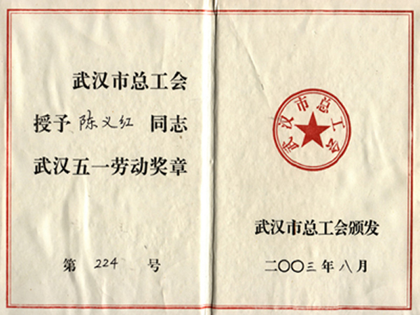 武汉市五一劳动奖 武汉市五一劳动奖