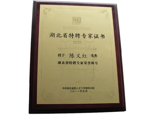 湖北省特聘专家 湖北省特聘专家