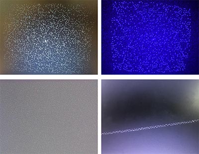 随机散斑结构光 随机散斑结构光