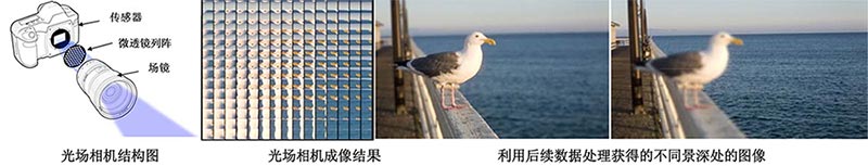 光场相机 光场相机